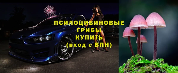 молекула духа Алзамай