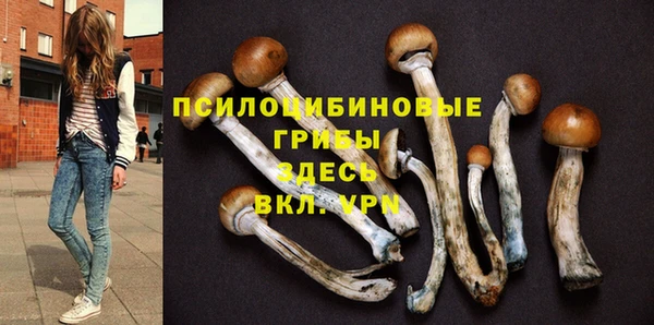 молекула духа Алзамай