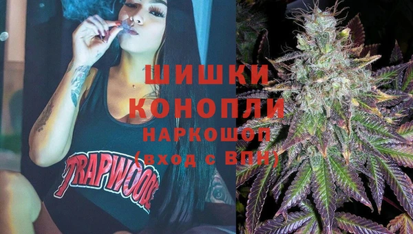 молекула духа Алзамай